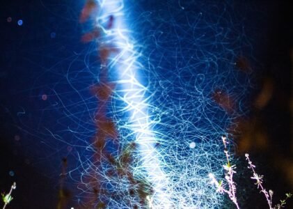 Bioluminiscencia vs. biofluorescencia