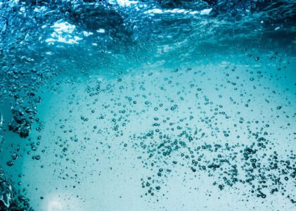 El cuarto estado del agua, la vida
